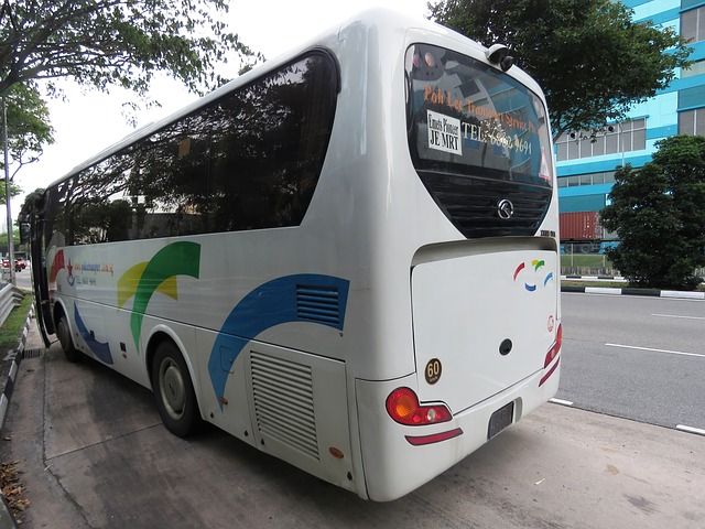 dálkový bus