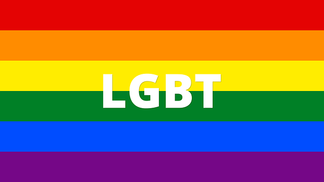 vlajka lesbiček.png