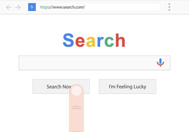polohování seo