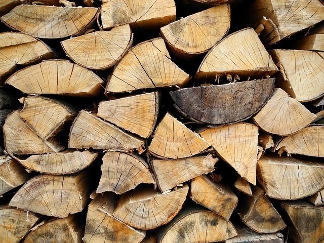 palivové dřevo